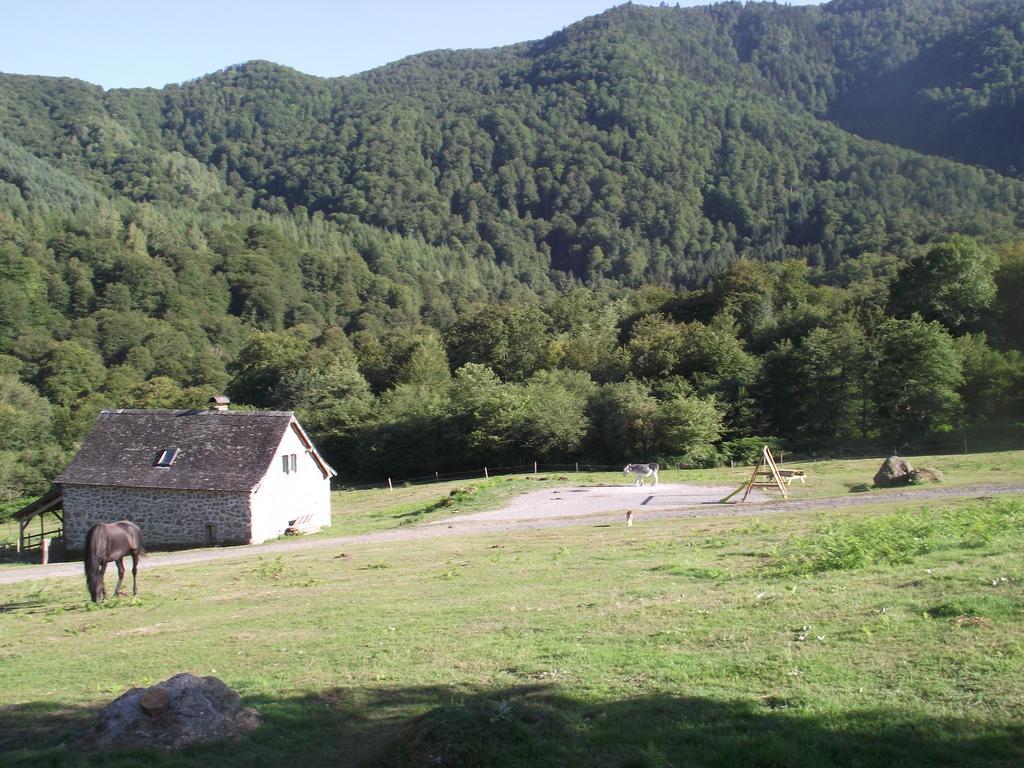 Les Chalets De La Foret D'Issaux Osse-en-Aspe Habitación foto