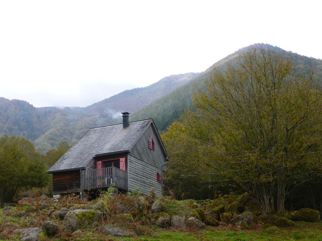 Les Chalets De La Foret D'Issaux Osse-en-Aspe Exterior foto