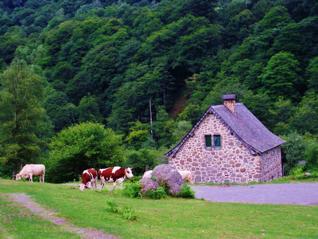 Les Chalets De La Foret D'Issaux Osse-en-Aspe Exterior foto