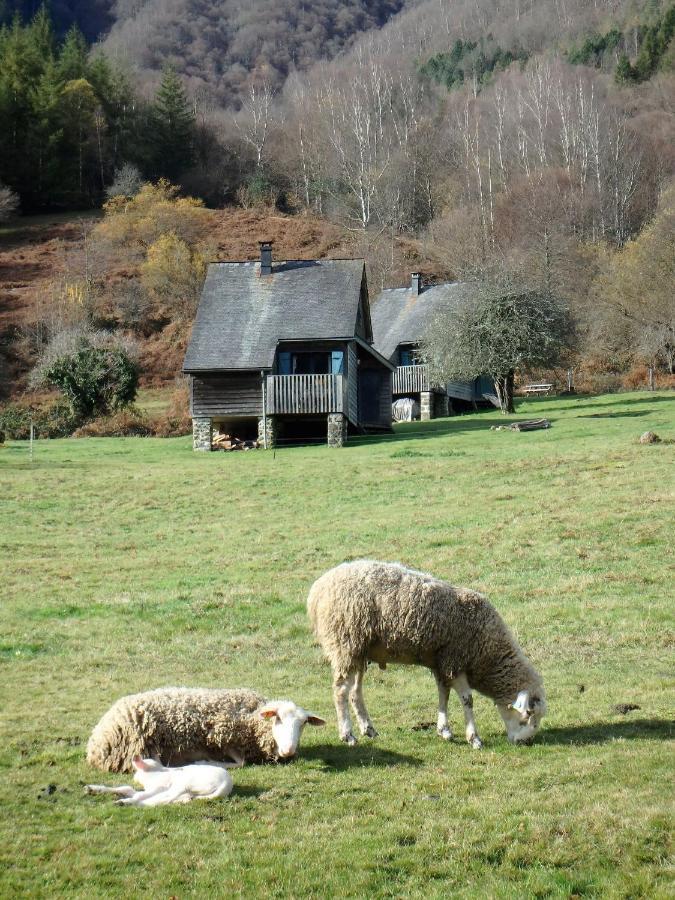 Les Chalets De La Foret D'Issaux Osse-en-Aspe Exterior foto